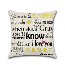 Load image into Gallery viewer, writing pillow case